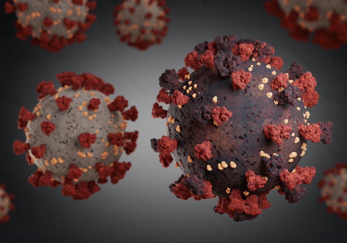 New coronavirus variant of concern detected in Western Pa.