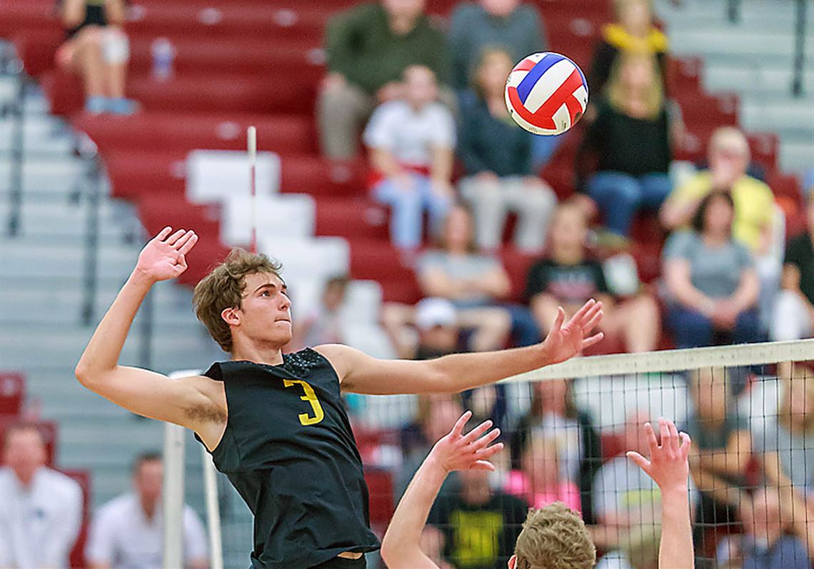 North Allegheny twins Eric and Luke Visgitis embark on professional