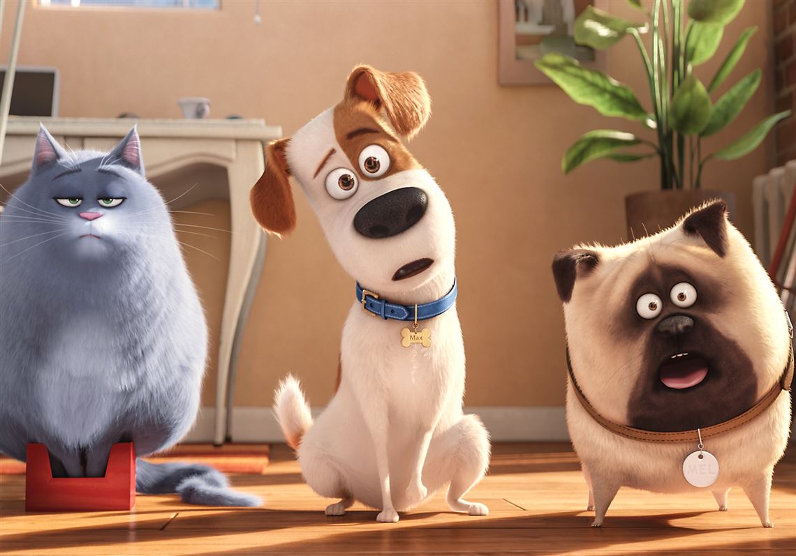 Canines and other pets let loose in funny 'Secret Life of Pets' |  Pittsburgh Post-Gazette