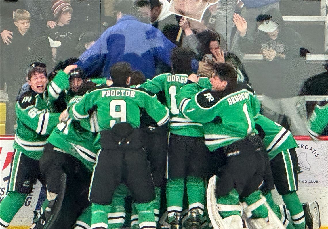 Pine-Richland hockey rallies late and wins Class 3A Pennsylvania Cup ...