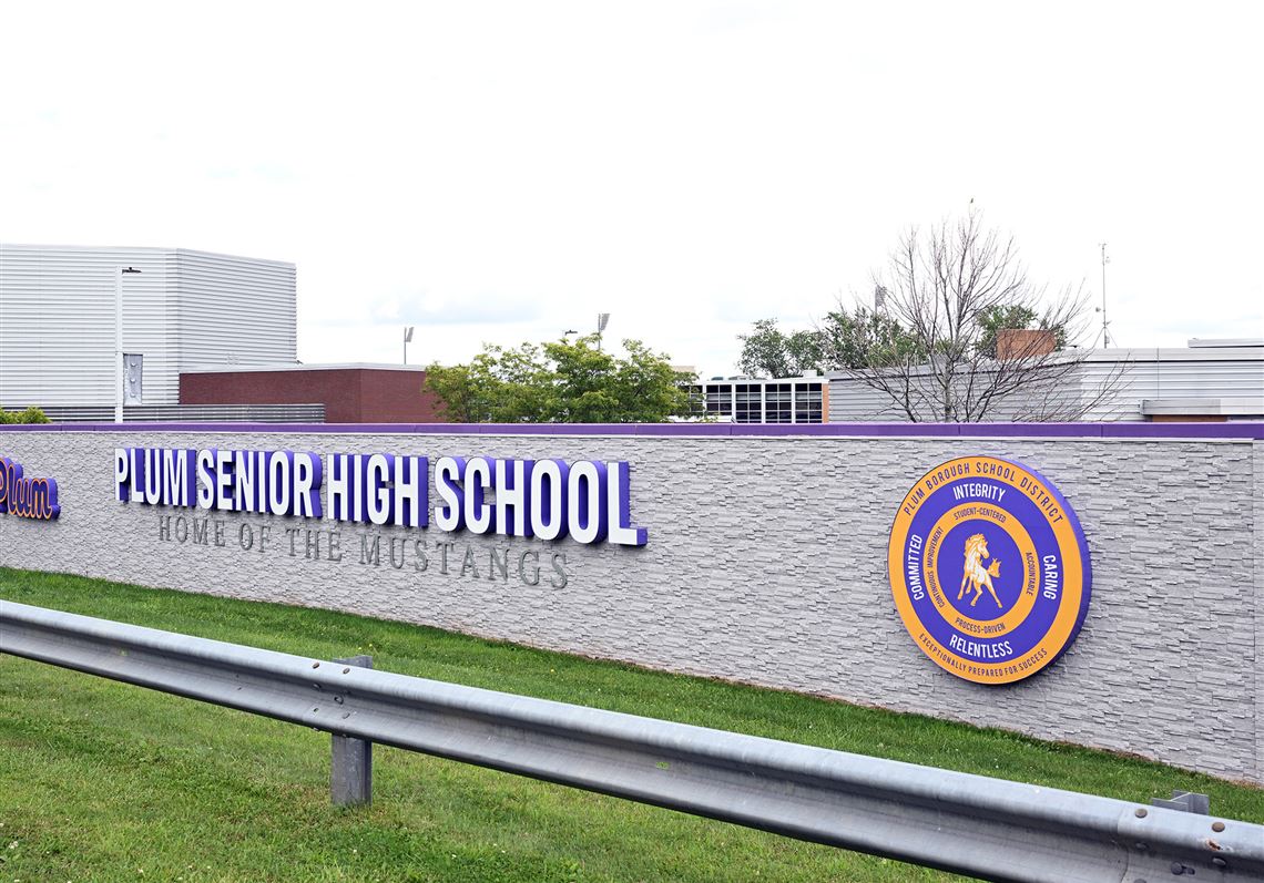 Plum school director censured after board raises concerns over conduct ...