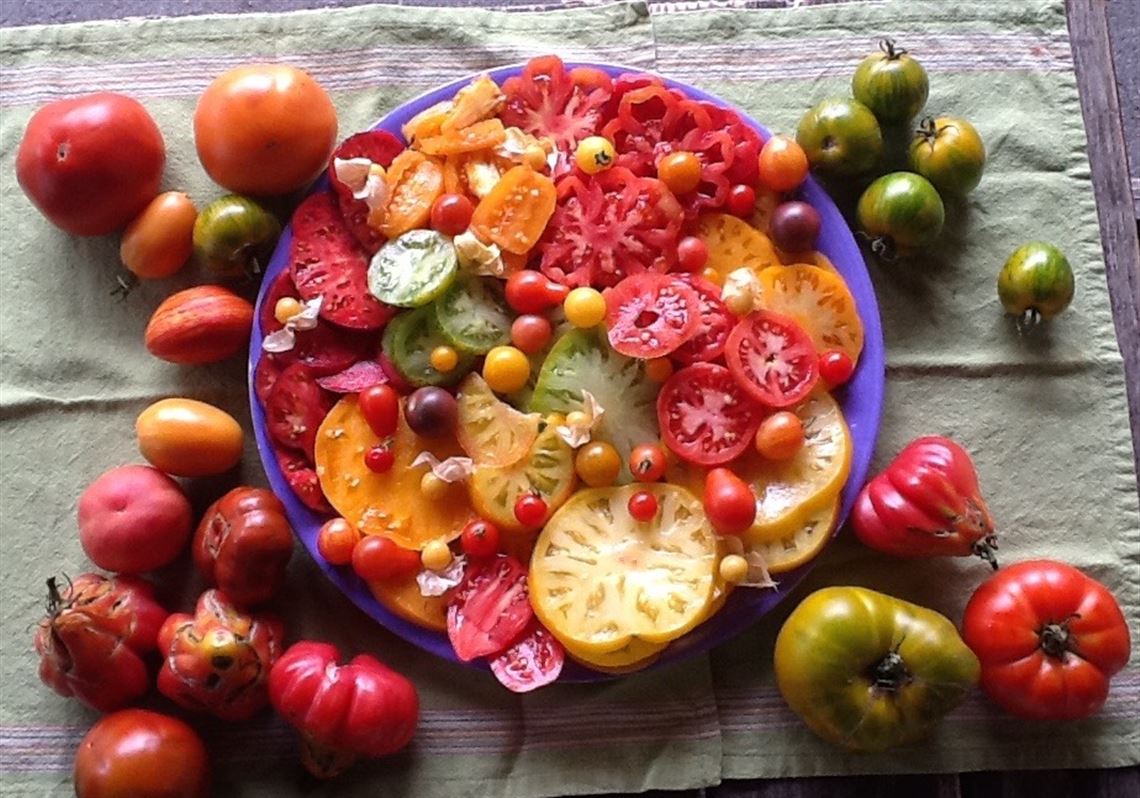 Heirloom tomatoes are a blast of color and flavor Pittsburgh PostGazette