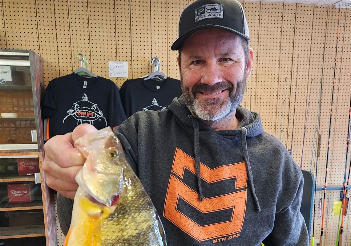 A Pa. record-breaking perch was caught off Presque Isle, though it will  likely be put in the books as a tie