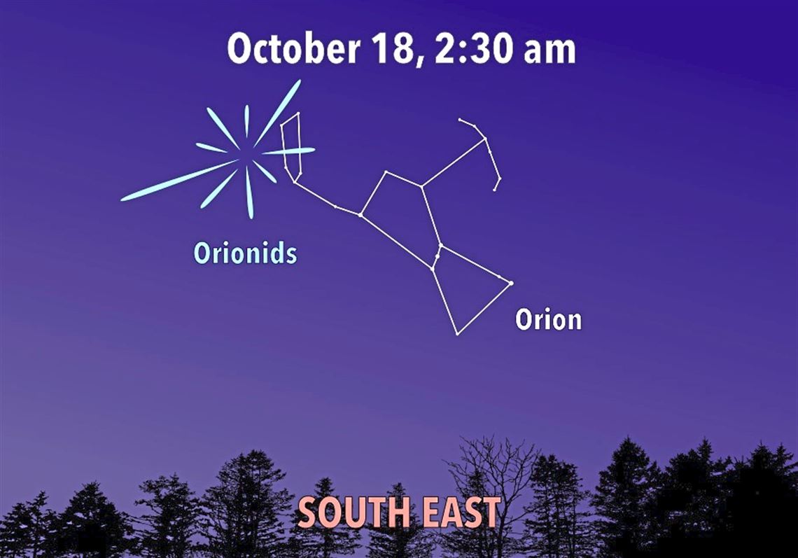 Stargazing: Orionids and Halley's Comet