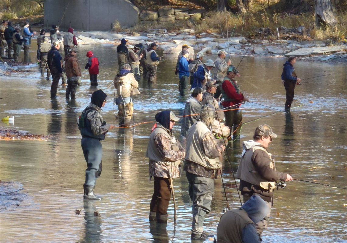 Where to catch steelhead trout without the crowds in Pa ...