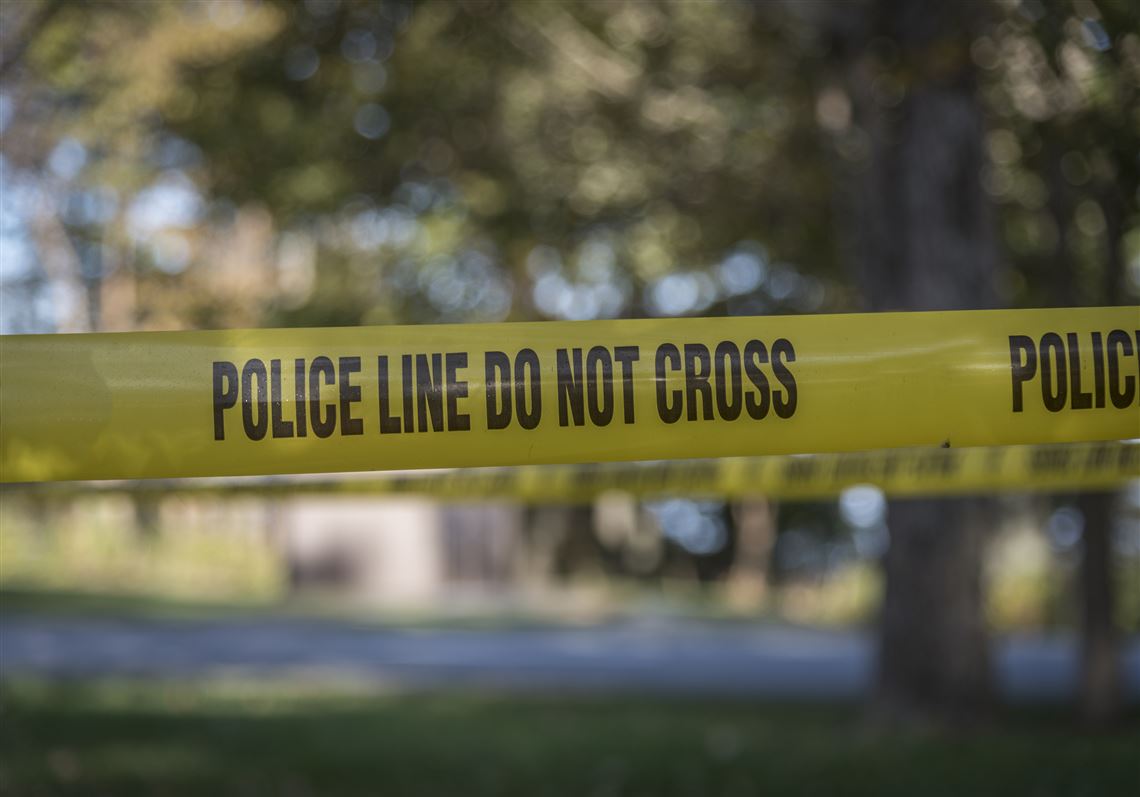 Teen charged in fatal Duquesne shooting turns himself in Pittsburgh PostGazette