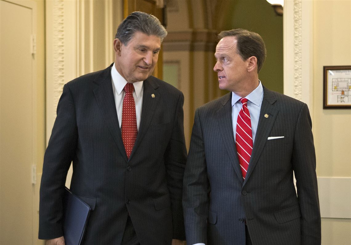 Toomey, Manchin team up on gun safety legislation as House passes background checks bill