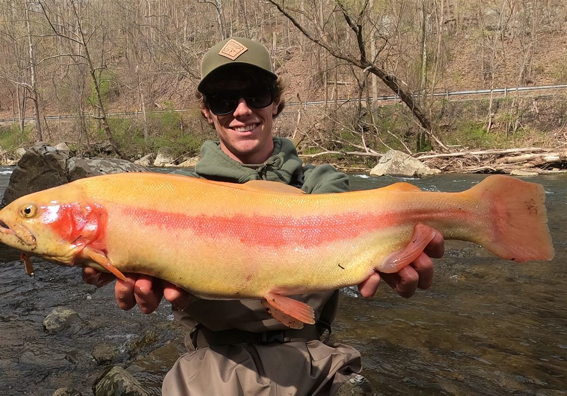 Trout Photo Contest Celebrates Big Fish And The Anglers Who Catch Them 