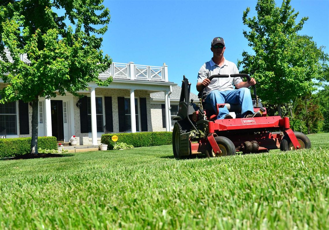 GreenPal’s on-demand mowing service expands to Pittsburgh | Pittsburgh ...