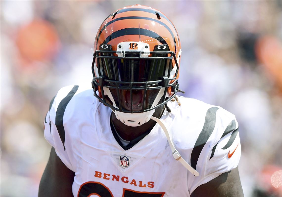 Cincinnati Bengals defensive tackle Larry Ogunjobi (65) looks on