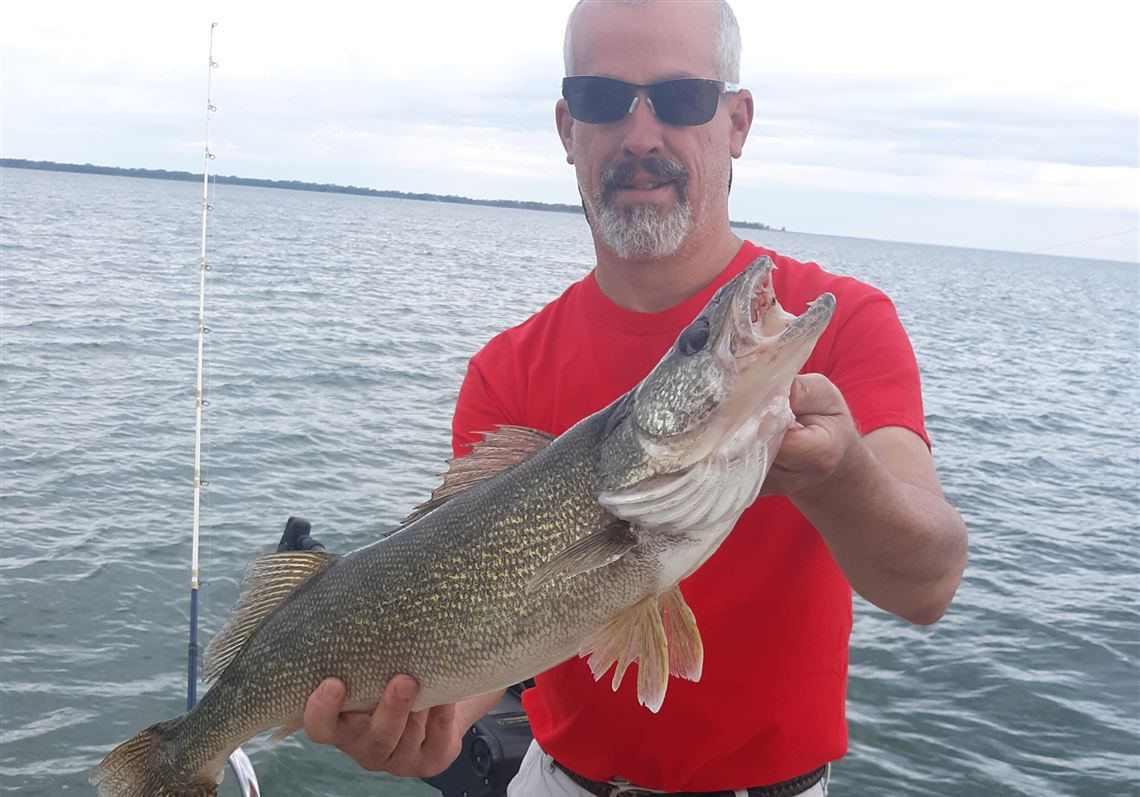 Yes Walleye Are In Lake Erie Shallows Weeks Before Annual