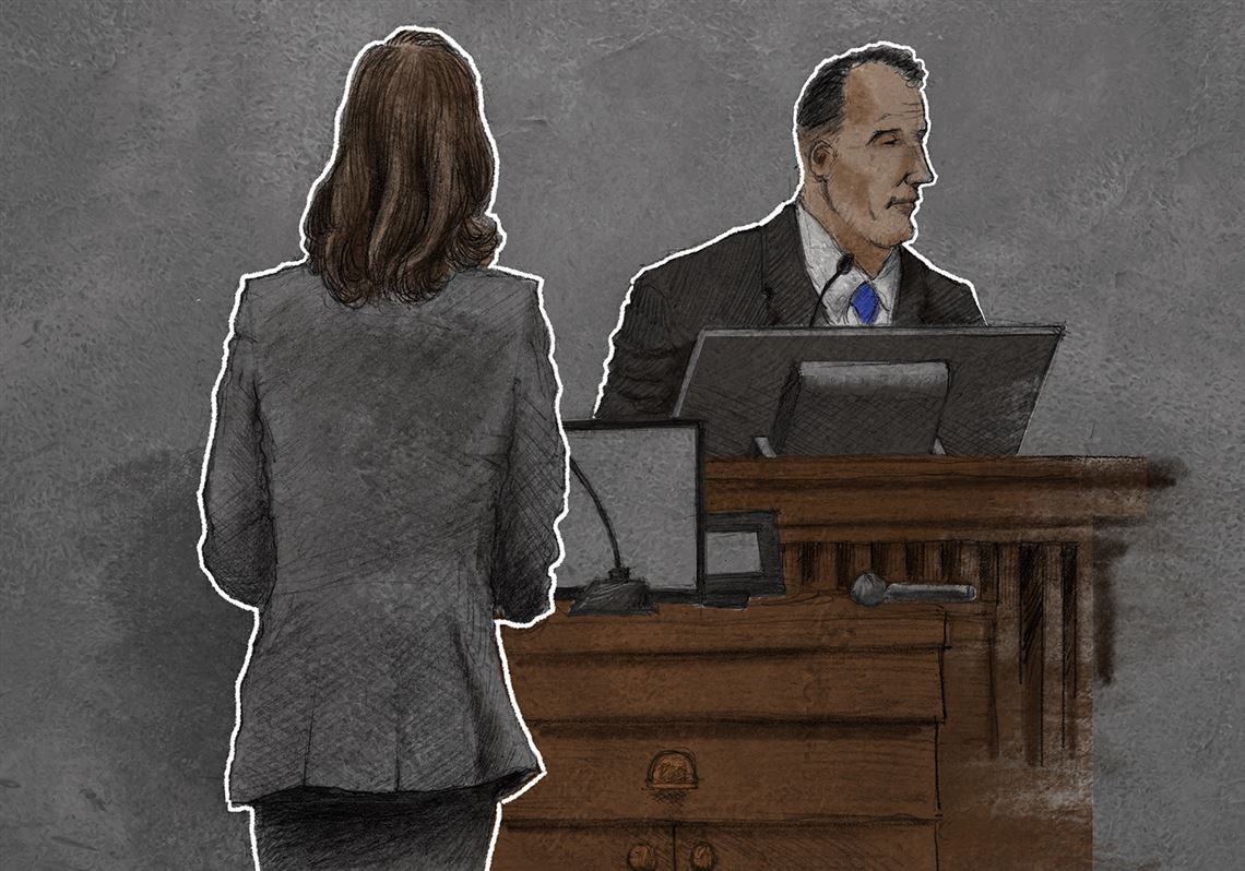 courtroom evidence cartoon