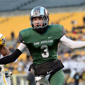 Former Pine-Richland standout Ben DiNucci making most of time with XFL's  Seattle Sea Dragons, eyeing return to NFL roster - Pittsburgh Union Progress