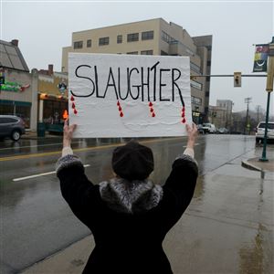 Jamie Sunderland of Crafton joins about two dozen protesters outside the Mt. Lebanon Municipal Building on Washington Road on Tuesday to protest planned deer culling in the area hours before the start of the Mt. Lebanon Commissioners meeting. 