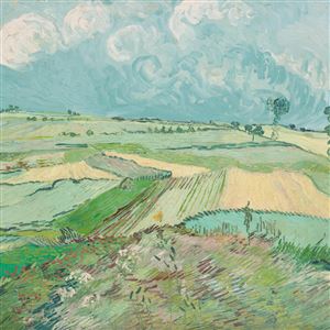 The fave at CMOA: Vincent van Gogh, 
