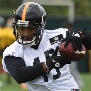 Former Steelers FB Roosevelt Nix Retires From NFL