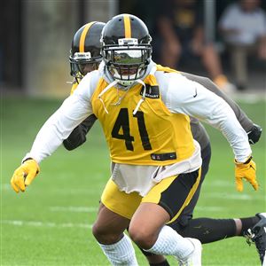 Pittsburgh Steelers outside linebacker James Harrison, right, plays with  defensive back Antwon Blake (41) at practice