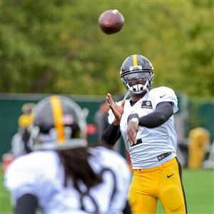 Ron Cook: Forget Michael Vick's past and think about his potential assets  to Steelers