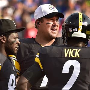 Sorry, Pittsburgh Dog Lovers: Steelers Sign Michael Vick