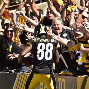 A (Very) Small Gathering Of Steelers Fans Protested Signing Mike Vick