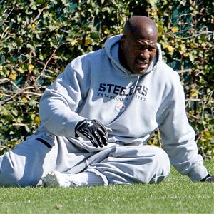 Steelers coach Mike Tomlin said the decision on whether James Harrison plays next season will be left up to the veteran linebacker.