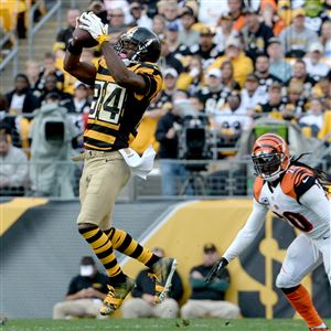 Steelers notebook: DeAngelo Williams in the spotlight again