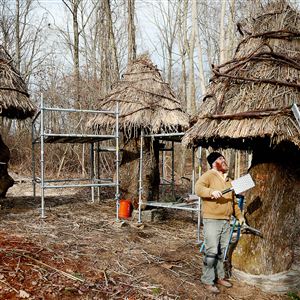 William Cahill of Cincinnati thatches a roof on one of three huts made from stumps of a 227-year-old white oak in the Bookworm Glen section of the Pittsburgh Botanic Garden in North Fayette and Collier.