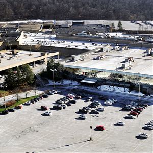 Malls ditch shopping to fill wasteland of vacant retail stores – Lowell Sun