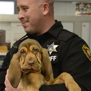 Deputy Jeffrey Belback holds K-9 Ranger after getting his license.