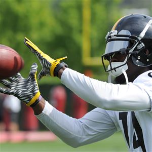 Steelers wide receiver Sammie Coates hauls in a pass in practice Wednesday on the South Side.