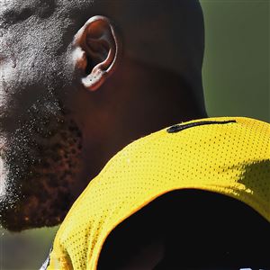 James Harrison gets PED test on Tuesday - NBC Sports