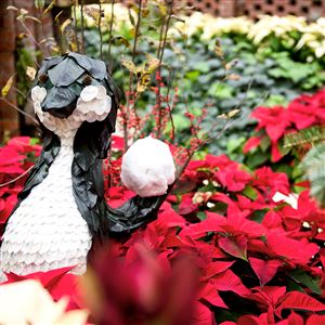 A topiary penguin stands out above a sea of ‘Eckespoint Classic Red’ poinsettias at the Winter Flower Show at Phipps Conservatory and Botanical Gardens in Oakland on Nov 23, 2016. The event runs Nov 25-Jan 8 from 9:30 a.m. to 11 p.m. daily. (Haley Nelson/Post-Gazette)