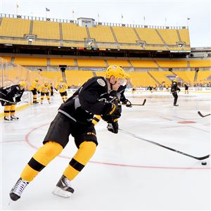 Live penguins marched onto the ice before the NHL Stadium Series game 