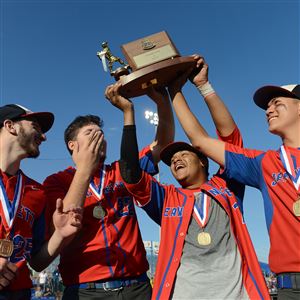 Coach Basciano instills sense of togetherness that helps Latrobe baseball  reach WPIAL final