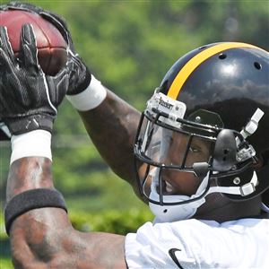 Steelers cut Fitzgerald Toussaint - NBC Sports