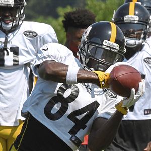 Steelers cut Fitzgerald Toussaint - NBC Sports