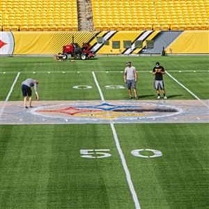 Heinz Field Seat Painting Dispute Pittsburgh Steelers NFL