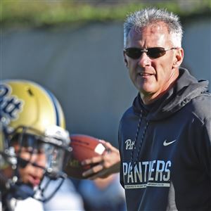 Pitt RS Sophomore QB Ben DiNucci to transfer - Cardiac Hill