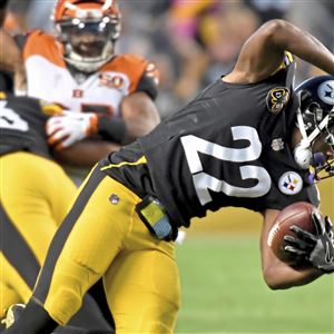 Hines Ward Says Steelers Offense Caused Hall of Fame Snub