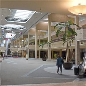 Malls ditch shopping to fill wasteland of vacant retail stores – Lowell Sun