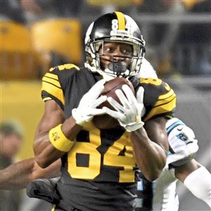 One For The Record Books: Antonio Brown Erupts For Record-Setting  Performance Against Raiders In 2015 - Steelers Depot