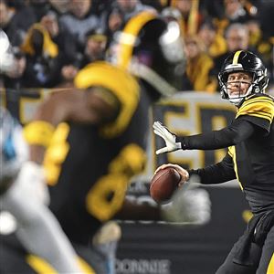 Gerry Dulac's report card: Steelers 52, Panthers 21