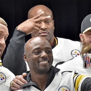 : NFL Super Bowl XLIII: Pittsburgh Steelers Champions DVD : Mike  Tomlin, Santonio Holmes, Ben Roethlisberger, James Harrison: Movies & TV