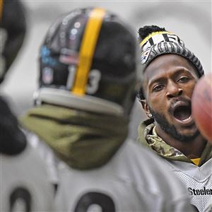 Joe Starkey Yes Mr President The Steelers Are A Circus And Joe Starkey Yes Mr President The Steelers Are A Circus And