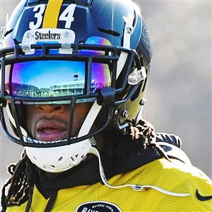 Terrell Edmunds - Wikipedia