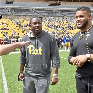 Point: Why Aaron Donald should have his jersey number retired by Pitt -  Cardiac Hill