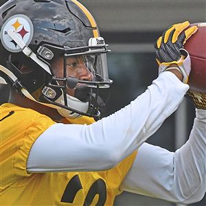 Former Steelers LB Vince Williams Confused by Devin Bush's Career