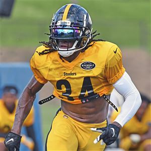 Former Steelers LB Vince Williams Confused by Devin Bush's Career