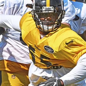 Steelers' Troy Polamalu headlines NFL Hall of Fame Class of 2020 - Newsday