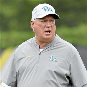 Frank Cignetti Jr. Officially Hired As Pitt's Offensive Coordinator and QB  Coach - Pittsburgh Sports Now